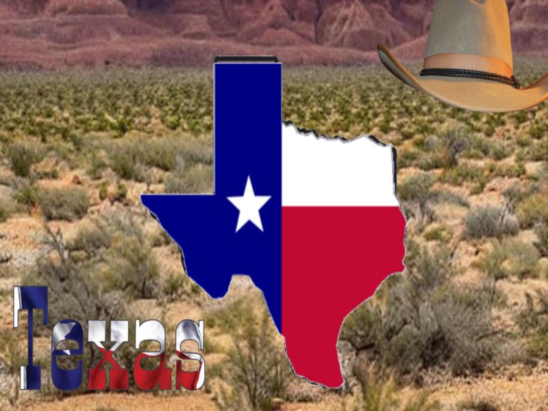 Texas driver license test